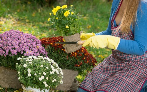 Expert horticulturist assisting a customer